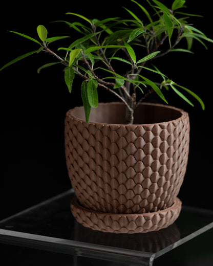 Planter Pot, Succulent Holder, Indoor Container, Minimal Desk, Contemporary Decor