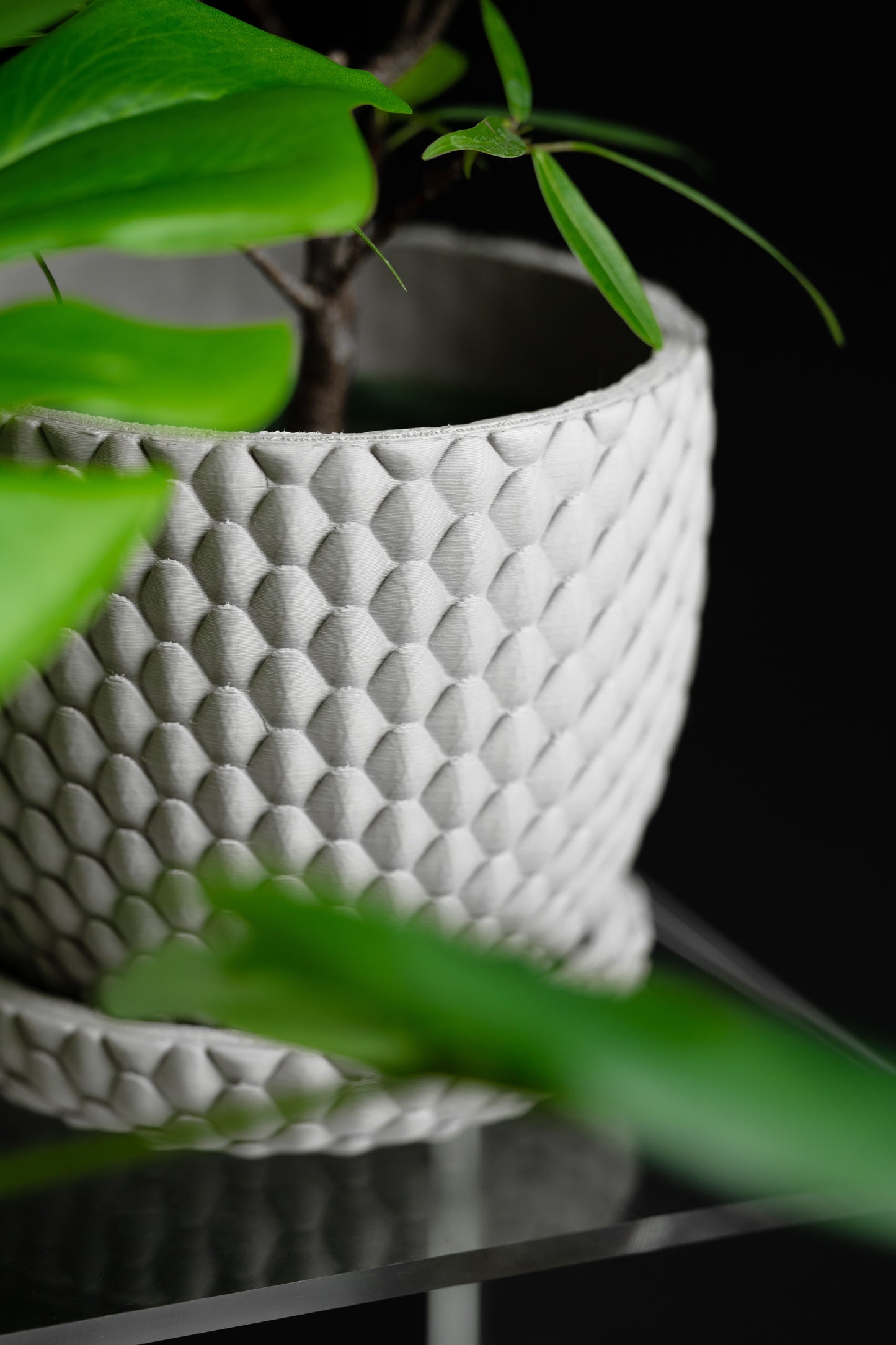 Planter Pot, Succulent Holder, Indoor Container, Minimal Desk, Contemporary Decor