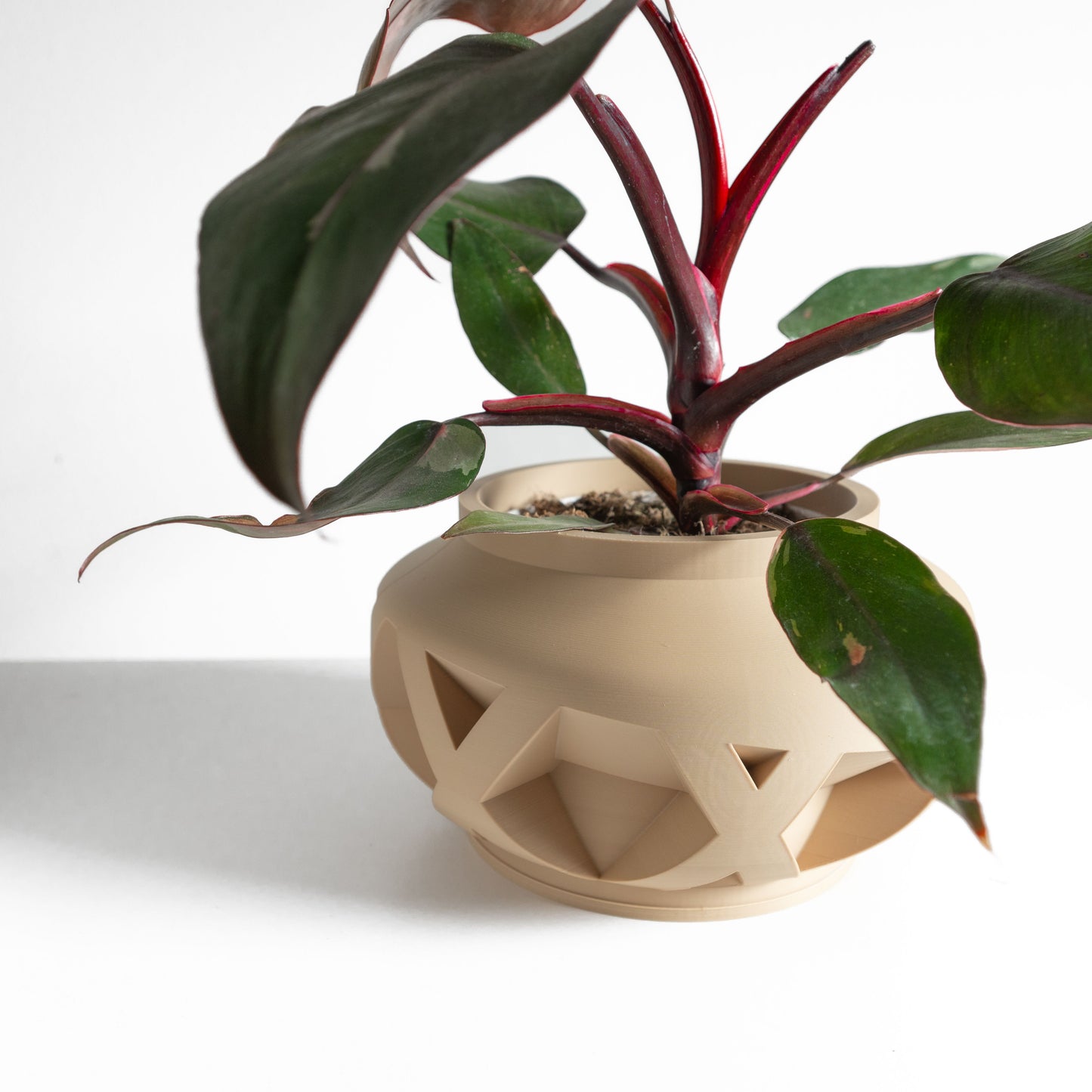 Succulent Planter, Geometric Desktop Herb Holder, Modern Minimalist Sculptural Accent