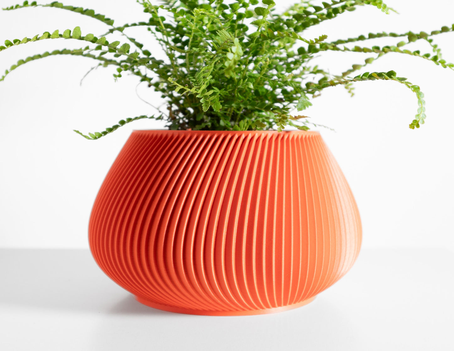 Indoor Plant Holder, Minimalist Desk Planter, Japandi Herb Container, Sculptural