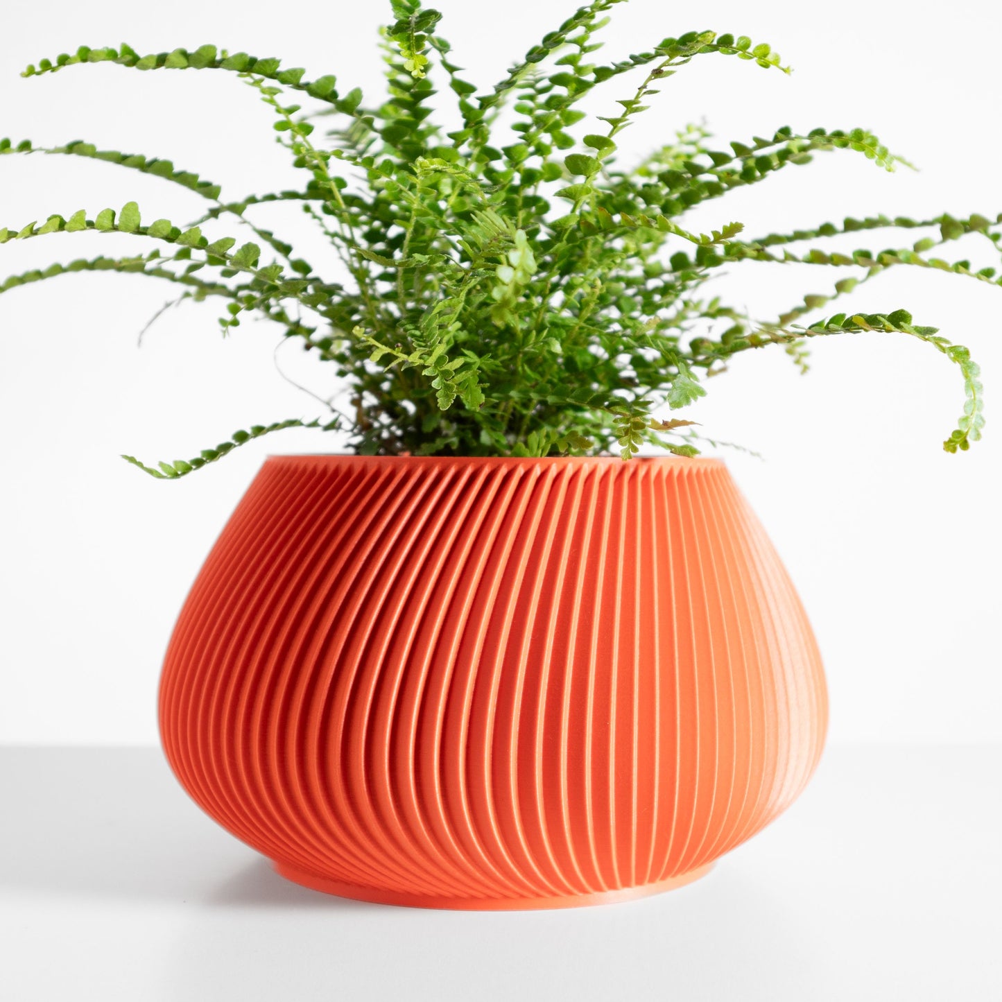 Indoor Plant Holder, Minimalist Desk Planter, Japandi Herb Container, Sculptural