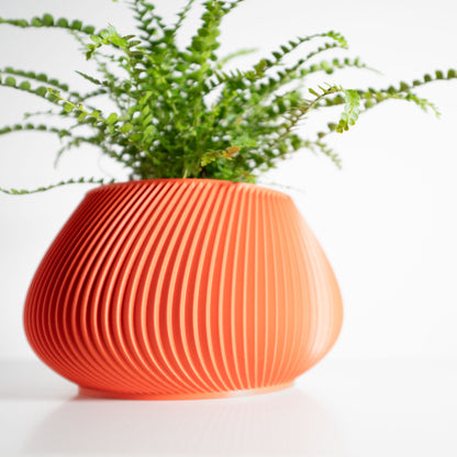 Indoor Plant Holder, Minimalist Desk Planter, Japandi Herb Container, Sculptural