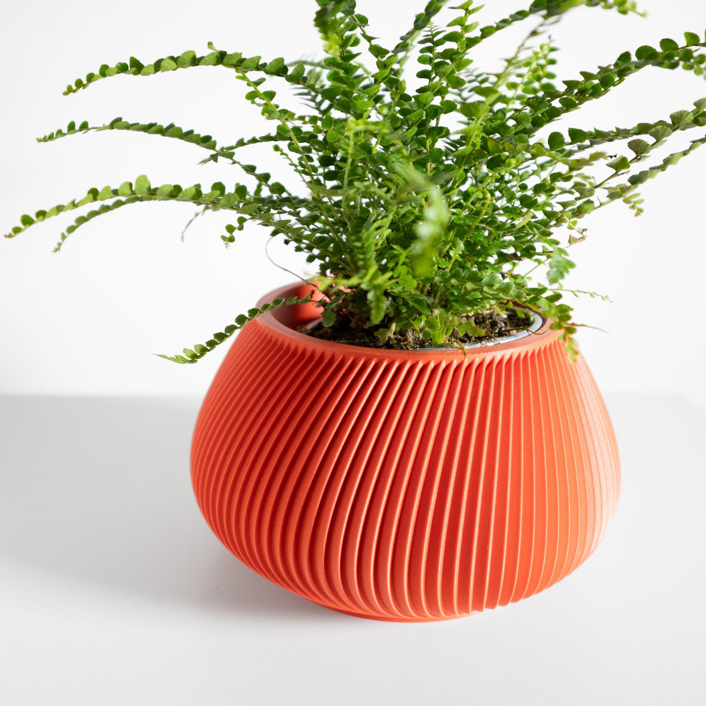 Indoor Plant Holder, Minimalist Desk Planter, Japandi Herb Container, Sculptural