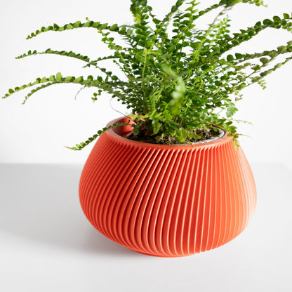 Indoor Plant Holder, Minimalist Desk Planter, Japandi Herb Container, Sculptural