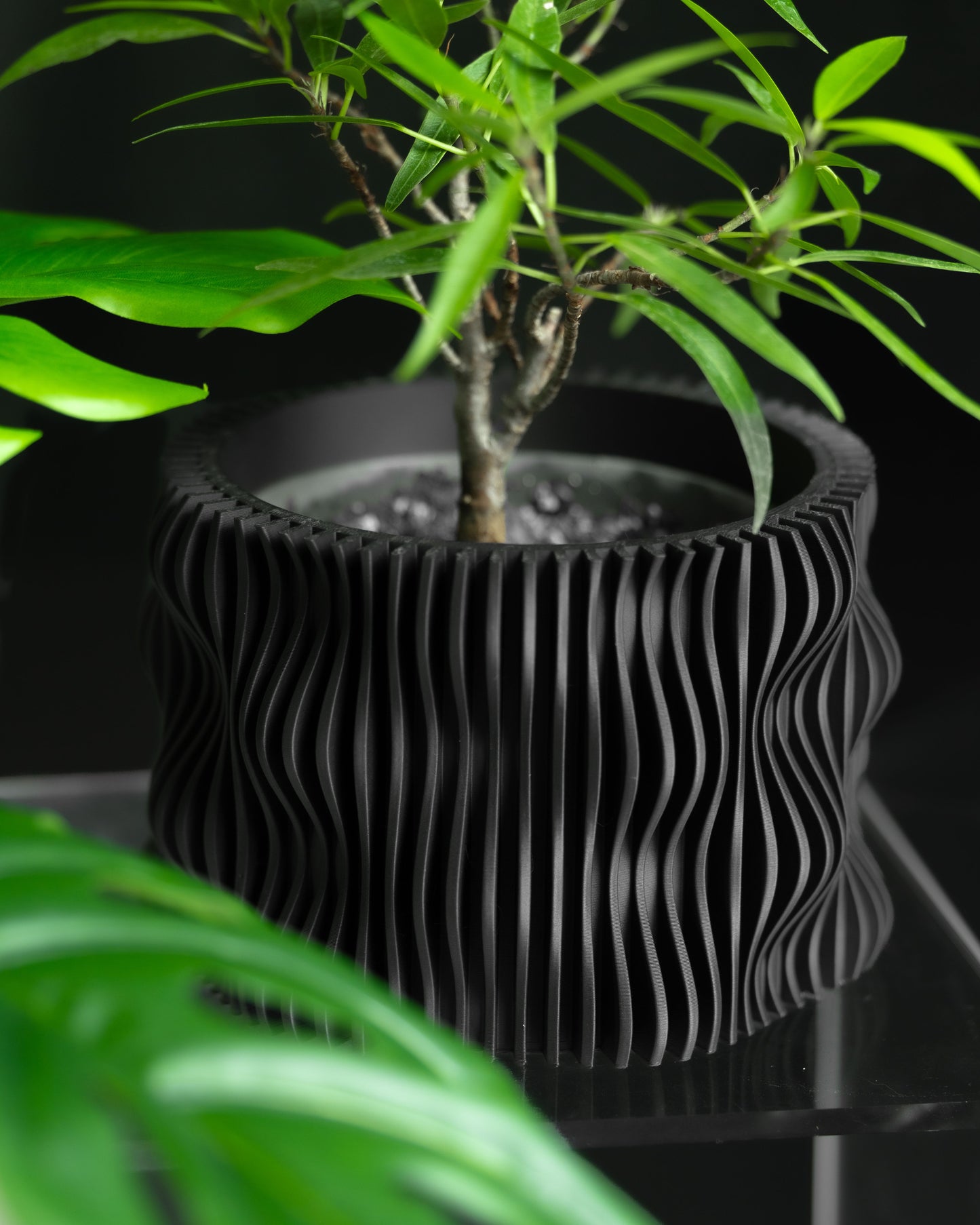 Statement Planter Pot, Decorative Herb Holder, Succulent Container, Minimalist Cactus Box, Organic Shaped