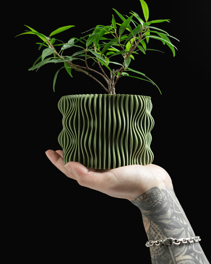 Statement Planter Pot, Decorative Herb Holder, Succulent Container, Minimalist Cactus Box, Organic Shaped