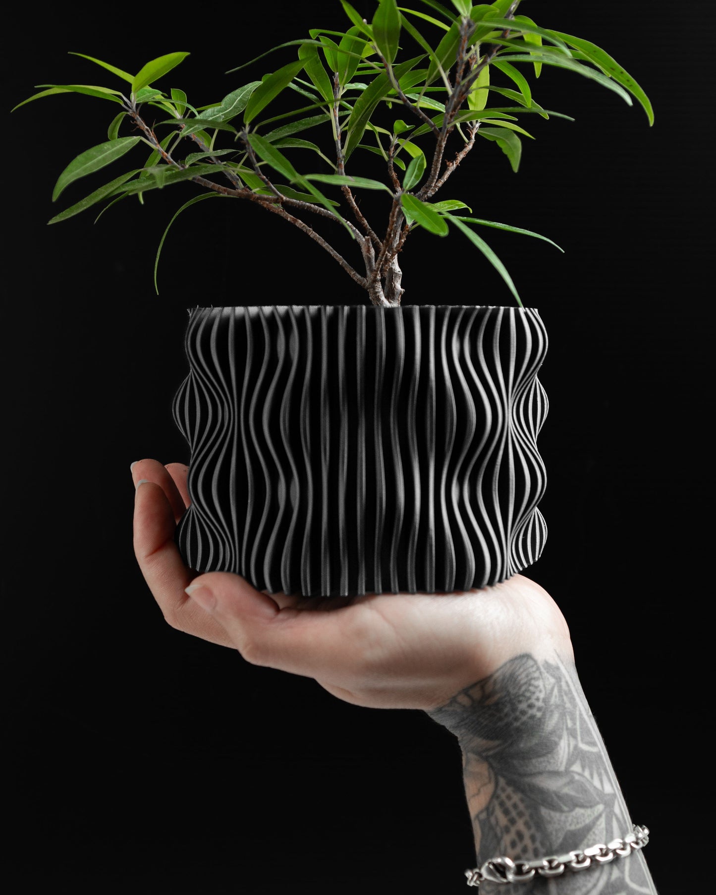 Statement Planter Pot, Decorative Herb Holder, Succulent Container, Minimalist Cactus Box, Organic Shaped