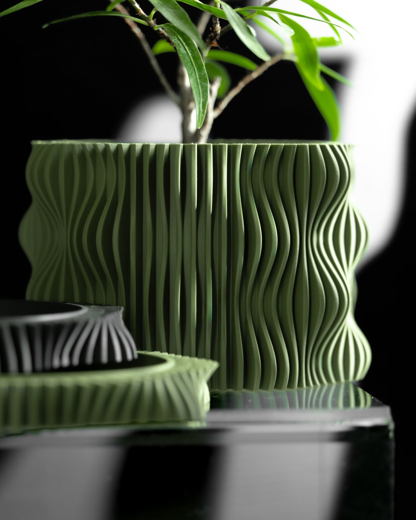 Statement Planter Pot, Decorative Herb Holder, Succulent Container, Minimalist Cactus Box, Organic Shaped