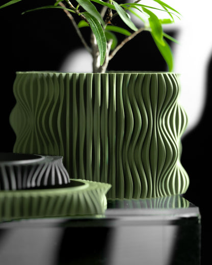 Statement Planter Pot, Decorative Herb Holder, Succulent Container, Minimalist Cactus Box, Organic Shaped