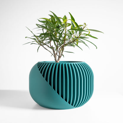 Succulent Planter, Indoor Botanical Pot, Desk Organizer, Contemporary MatteFinish