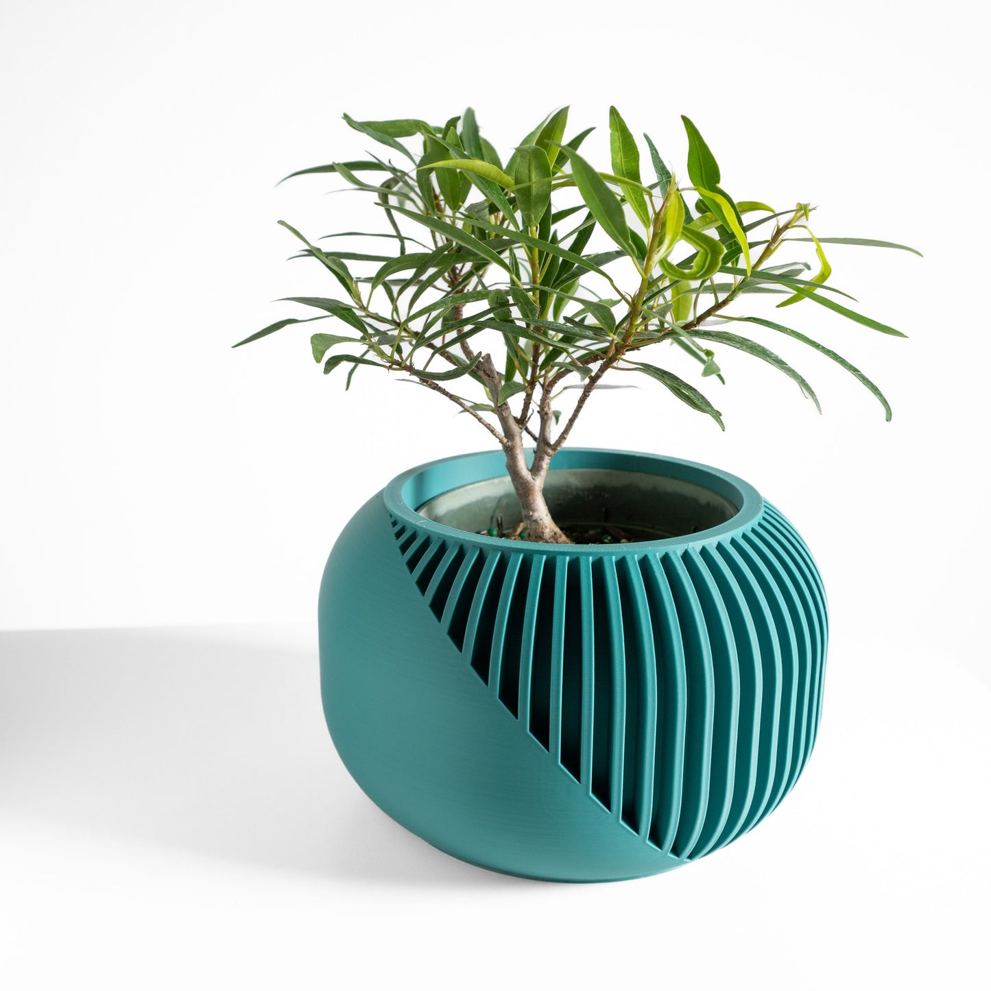 Succulent Planter, Indoor Botanical Pot, Desk Organizer, Contemporary MatteFinish