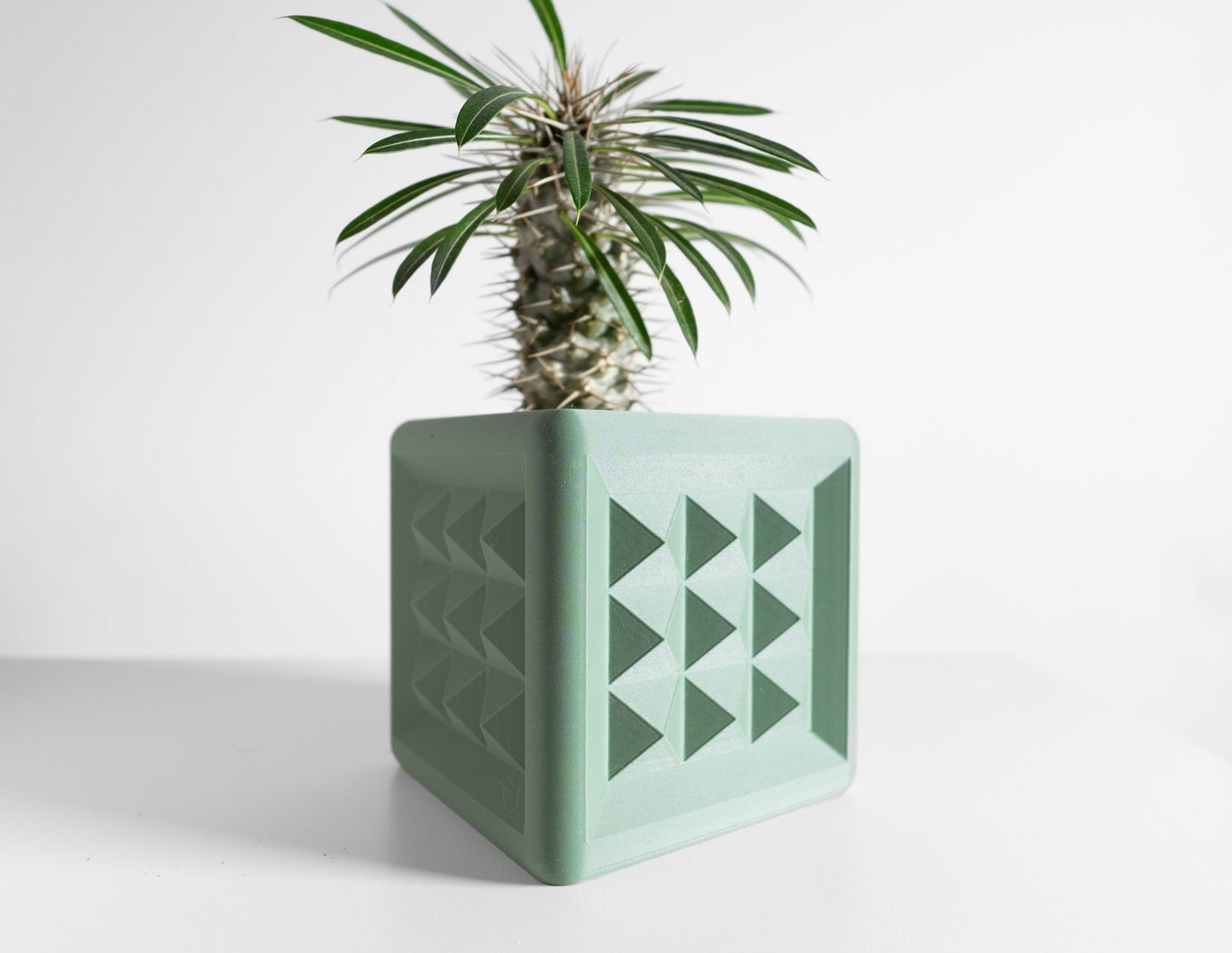 Planter Pot, Succulent Holder, Herb Container, Desk Decor, Contemporary Accent