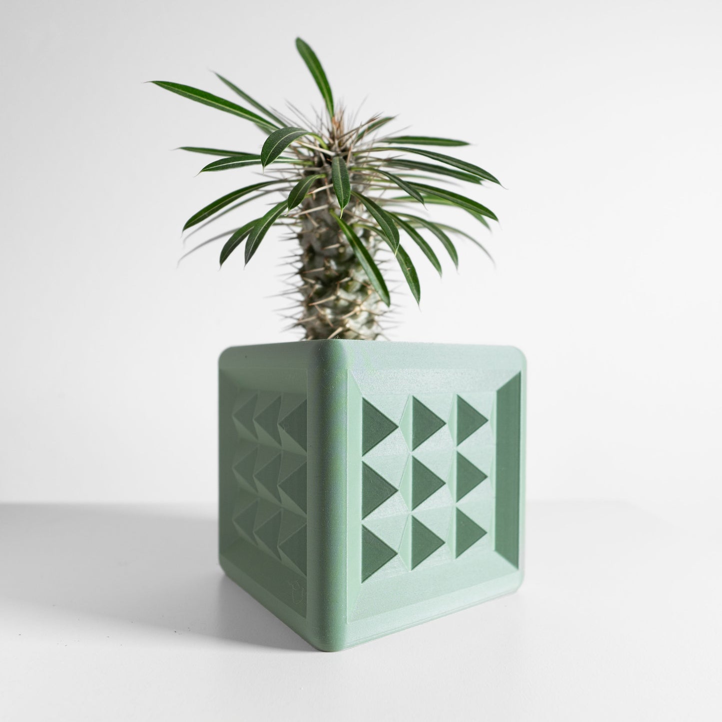 Planter Pot, Succulent Holder, Herb Container, Desk Decor, Contemporary Accent