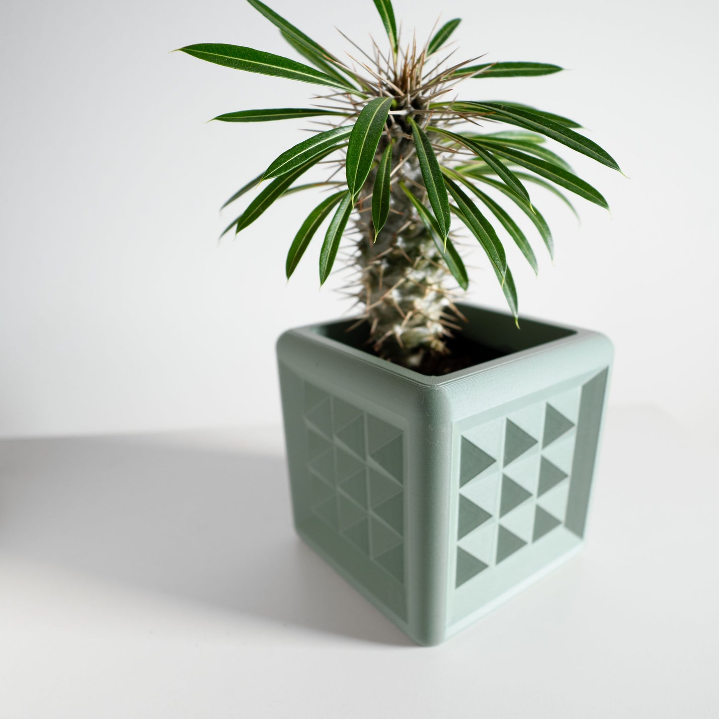 Planter Pot, Succulent Holder, Herb Container, Desk Decor, Contemporary Accent