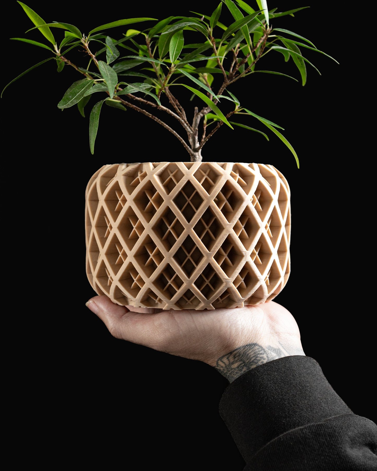 Indoor Planter, Succulent Pot, Herb Container, Modern Stand, Minimalist Decorative