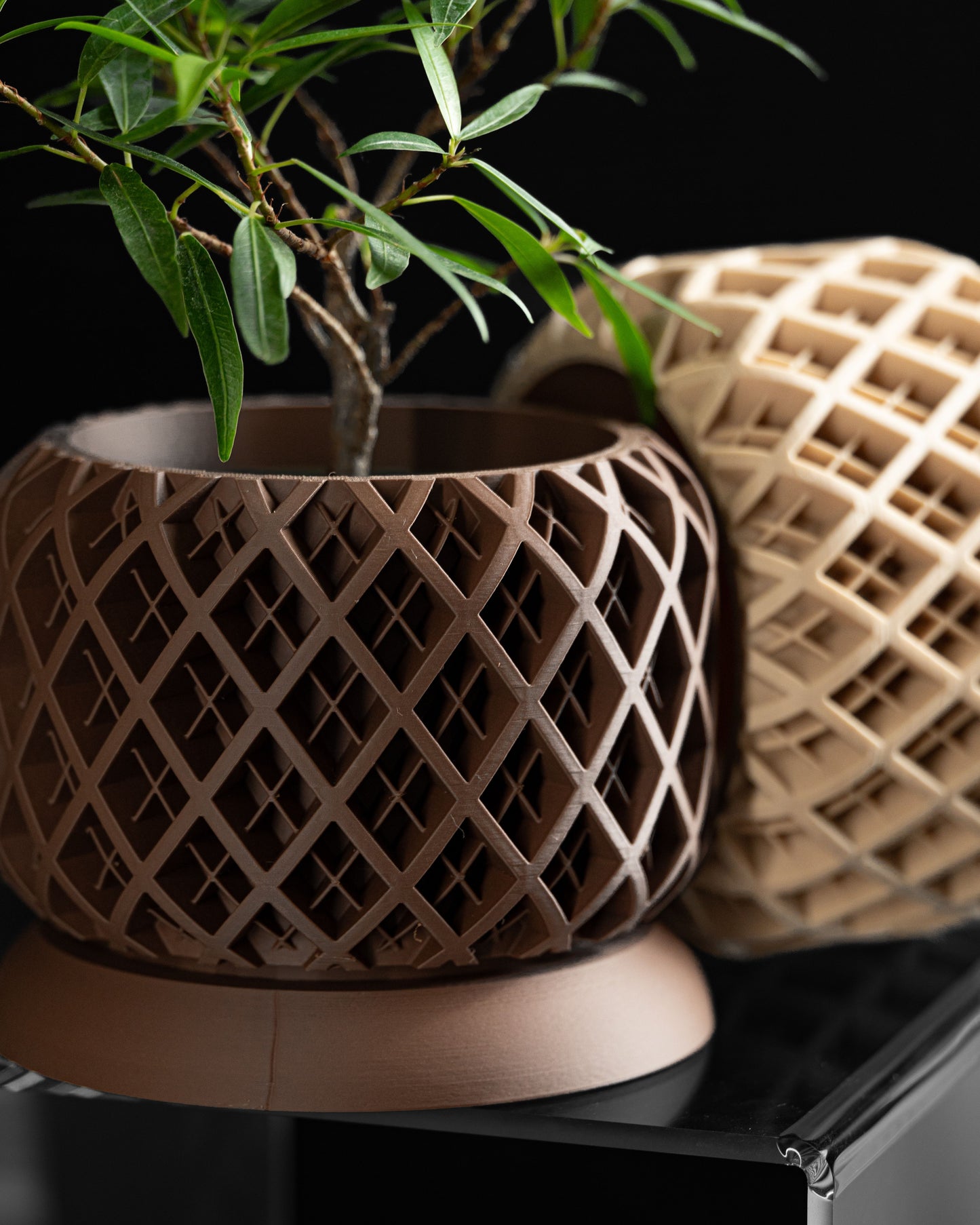 Indoor Planter, Succulent Pot, Herb Container, Modern Stand, Minimalist Decorative