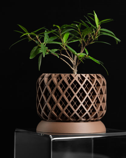 Indoor Planter, Succulent Pot, Herb Container, Modern Stand, Minimalist Decorative