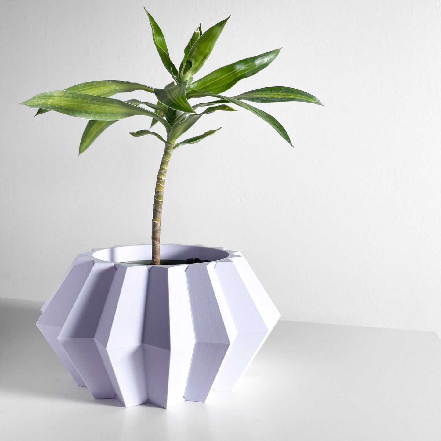 Planter Pot, Designer Planter, Succulent Holder, Minimalist, Indoor Geometric Design, Japendi Style, Nordic Accent