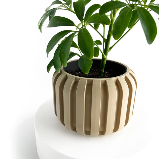 Planter Pot, Succulent Vessel, Indoor Plant Holder, Workspace Organizer Minimalist