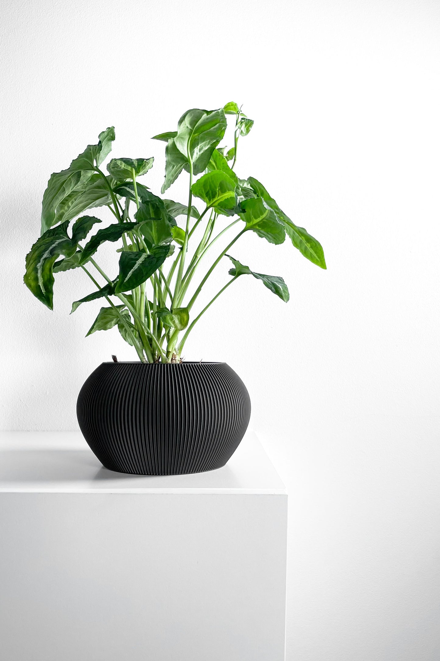 planter pot, sculptural indoor container, greenery holder, elegant desktop organizer