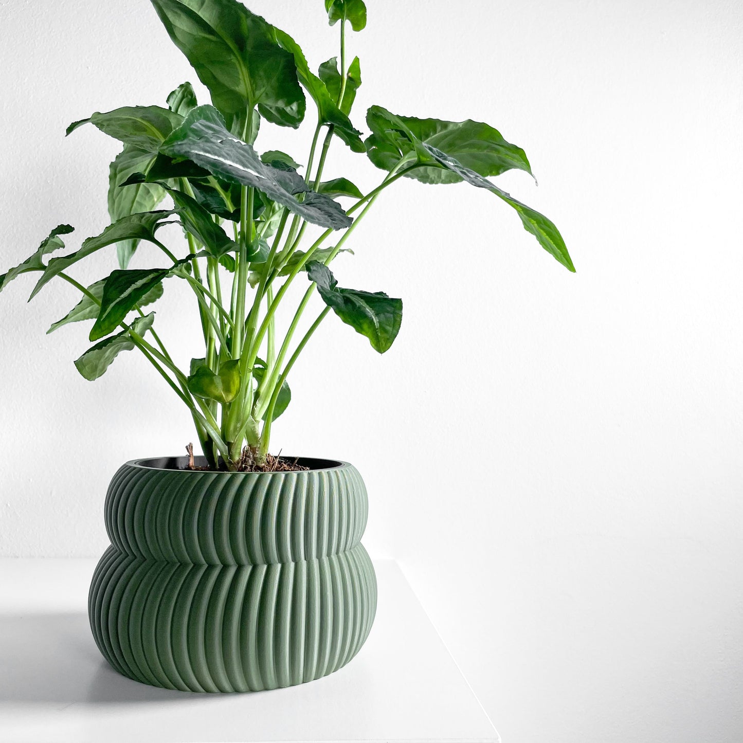 Planter Pot Set, Modern Indoor Succulent Holder, Sculptural Minimalist Organizer