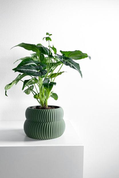 Planter Pot Set, Modern Indoor Succulent Holder, Sculptural Minimalist Organizer