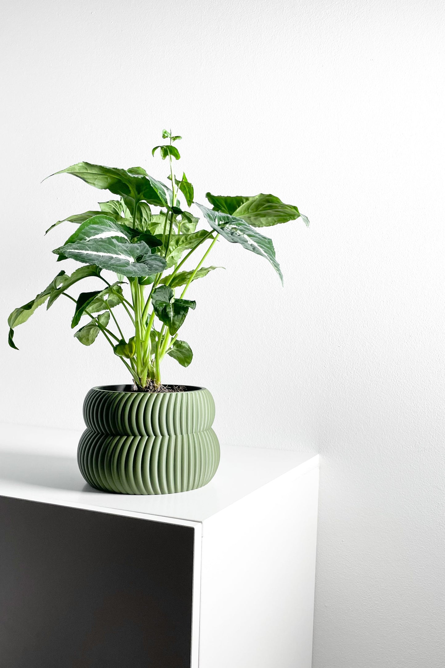 Planter Pot Set, Modern Indoor Succulent Holder, Sculptural Minimalist Organizer