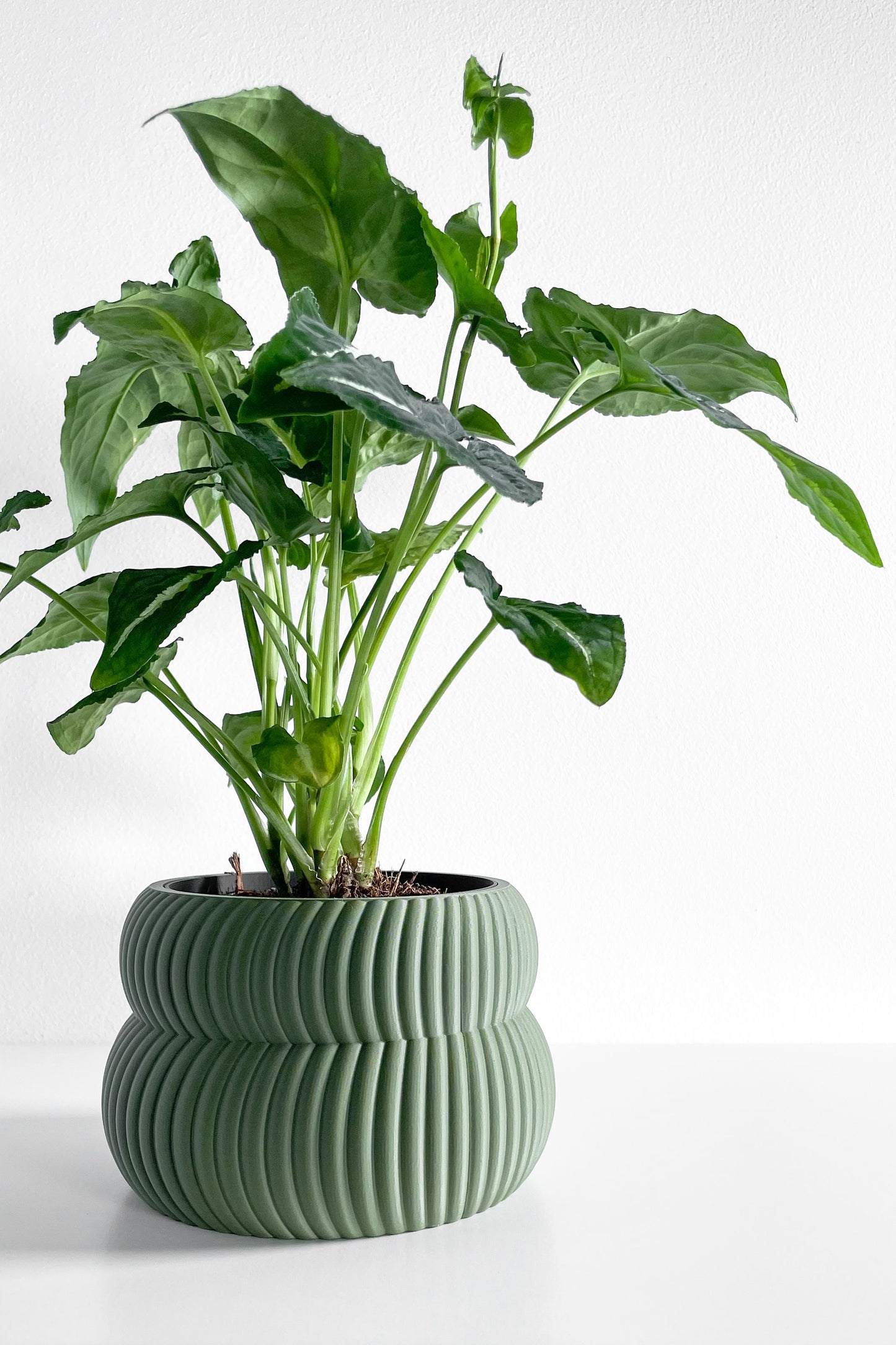 Planter Pot Set, Modern Indoor Succulent Holder, Sculptural Minimalist Organizer