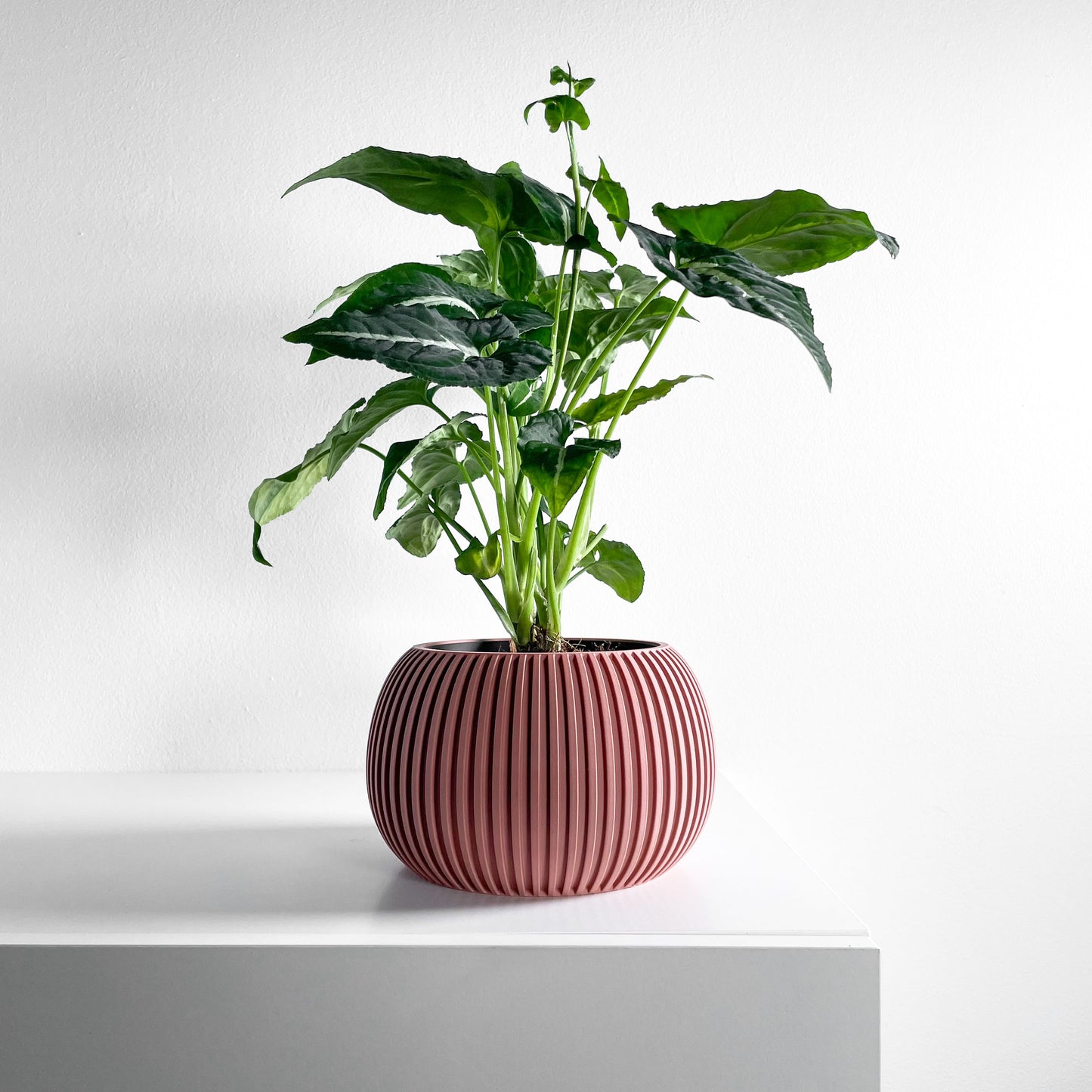 planter pot, midcentury minimalist succulent desktop organizer, indoor herb holder