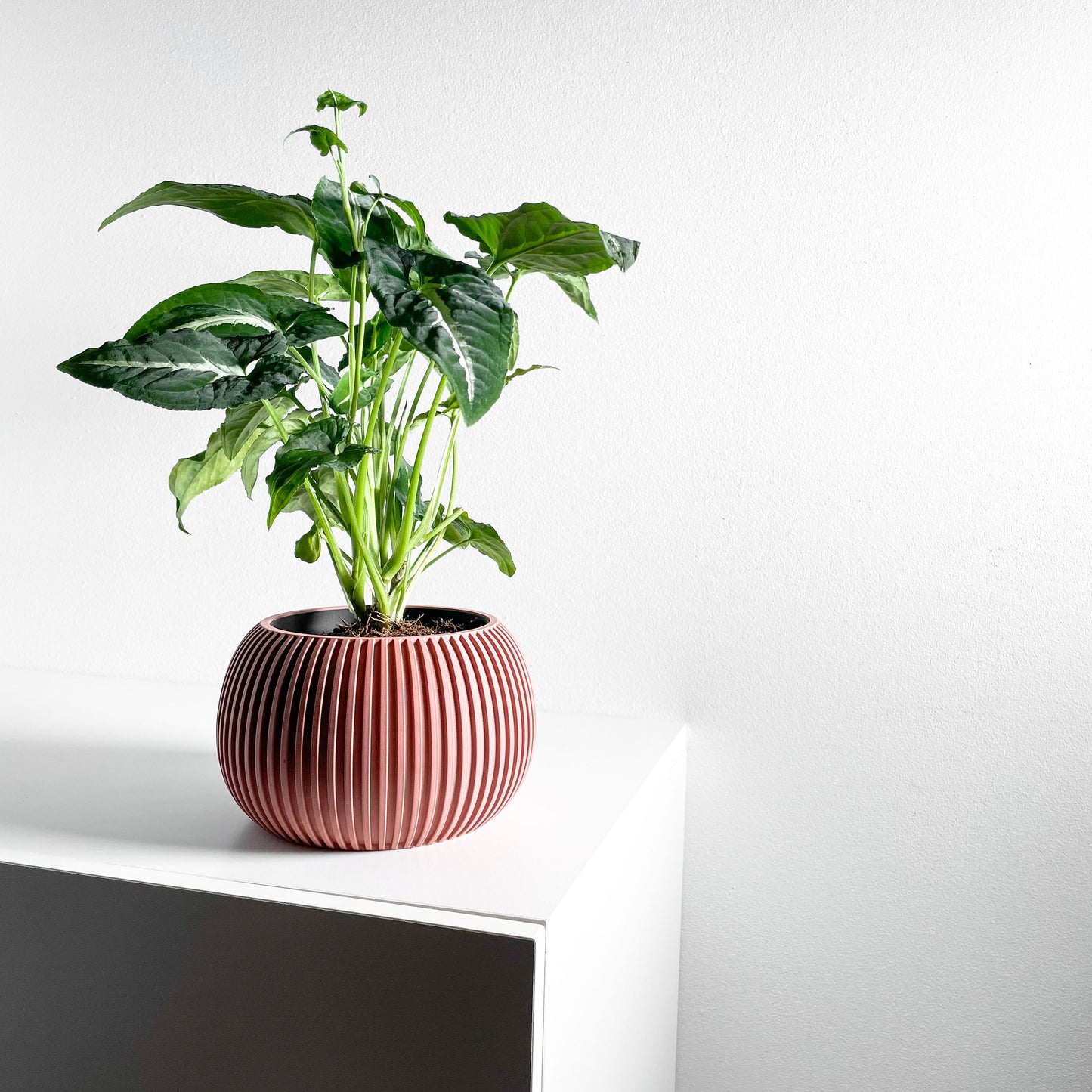 planter pot, midcentury minimalist succulent desktop organizer, indoor herb holder