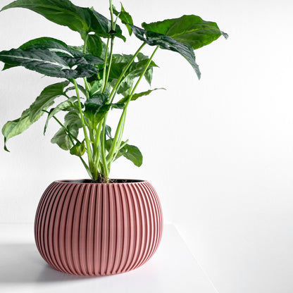 planter pot, midcentury minimalist succulent desktop organizer, indoor herb holder