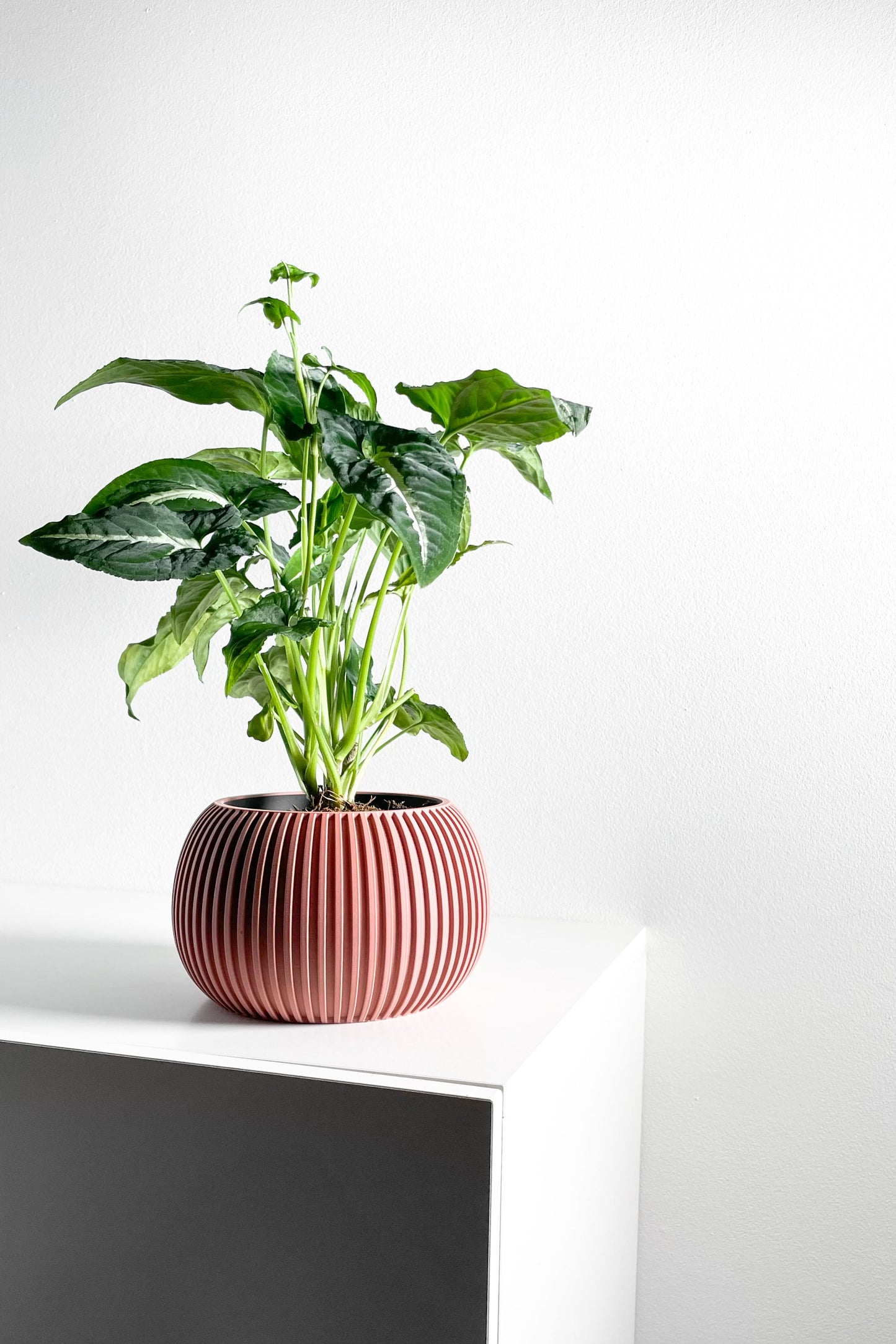 planter pot, midcentury minimalist succulent desktop organizer, indoor herb holder