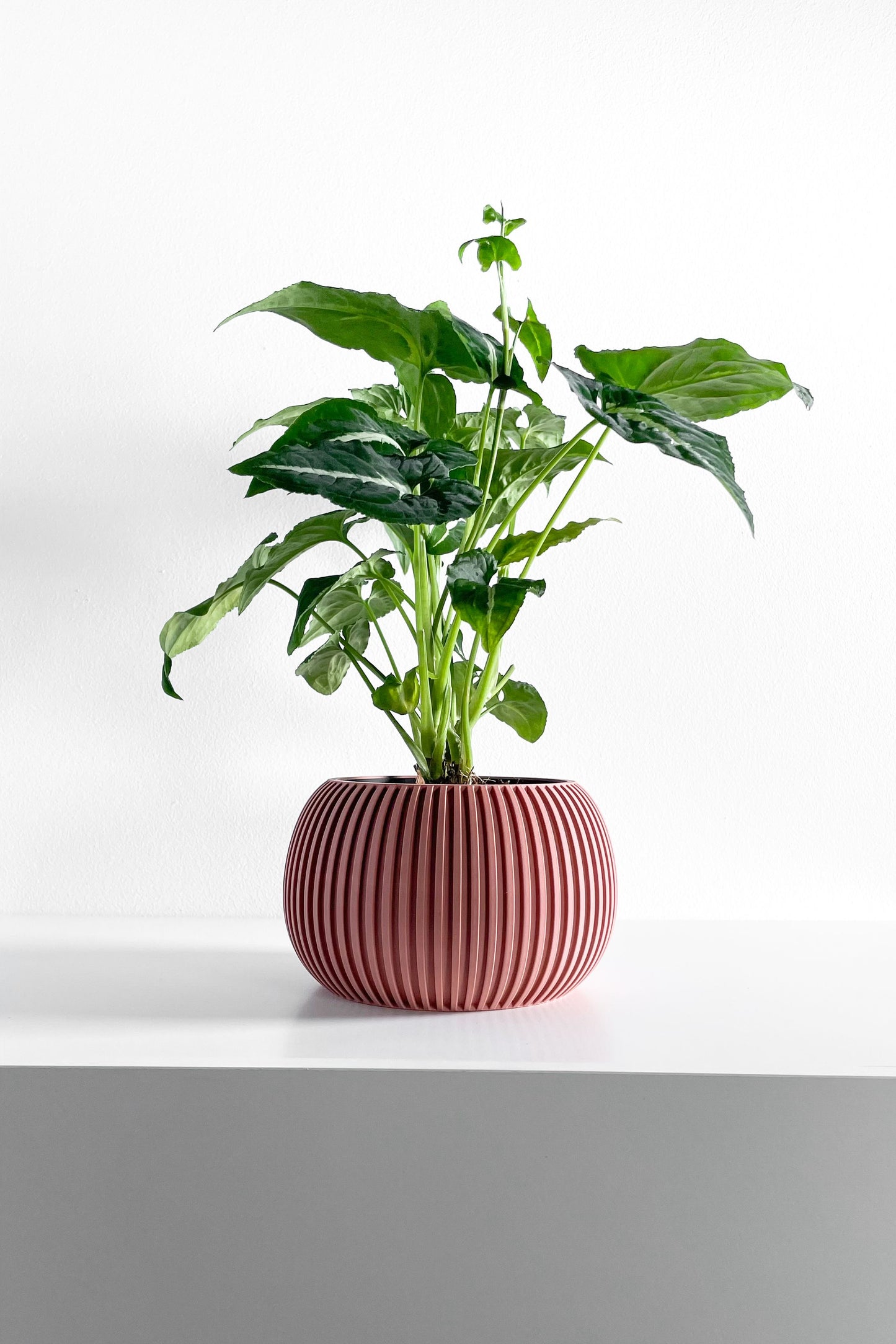 planter pot, midcentury minimalist succulent desktop organizer, indoor herb holder