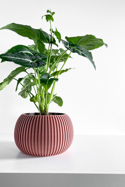 planter pot, midcentury minimalist succulent desktop organizer, indoor herb holder