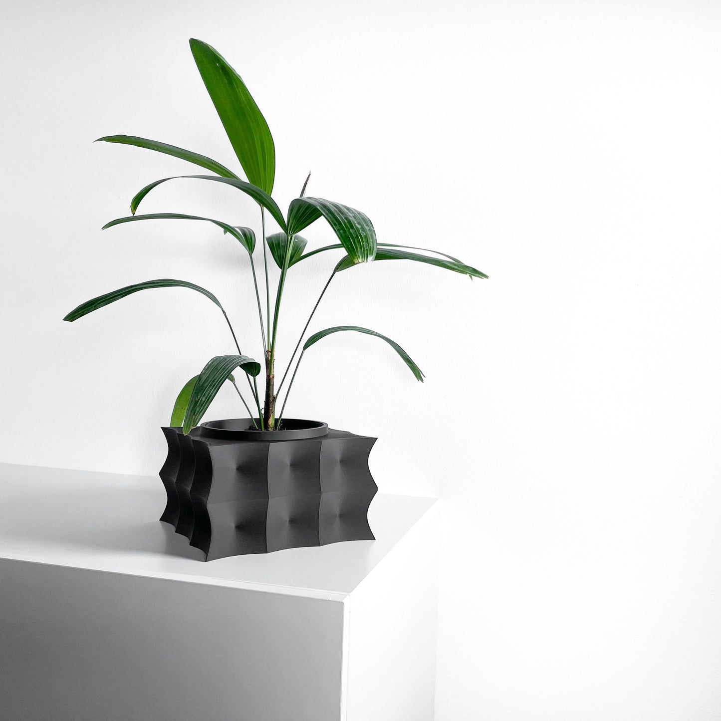 Planter Pot, Geometric Succulent Holder, Desktop Herb Vessel, Contemporary Display