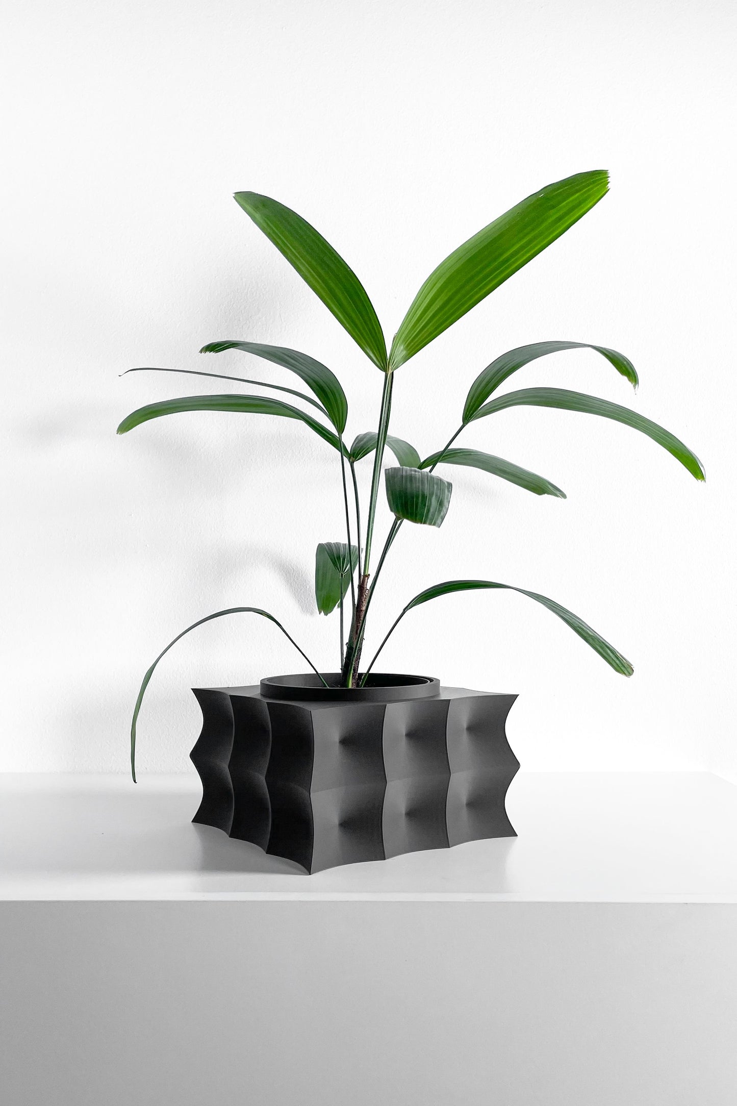 Planter Pot, Geometric Succulent Holder, Desktop Herb Vessel, Contemporary Display