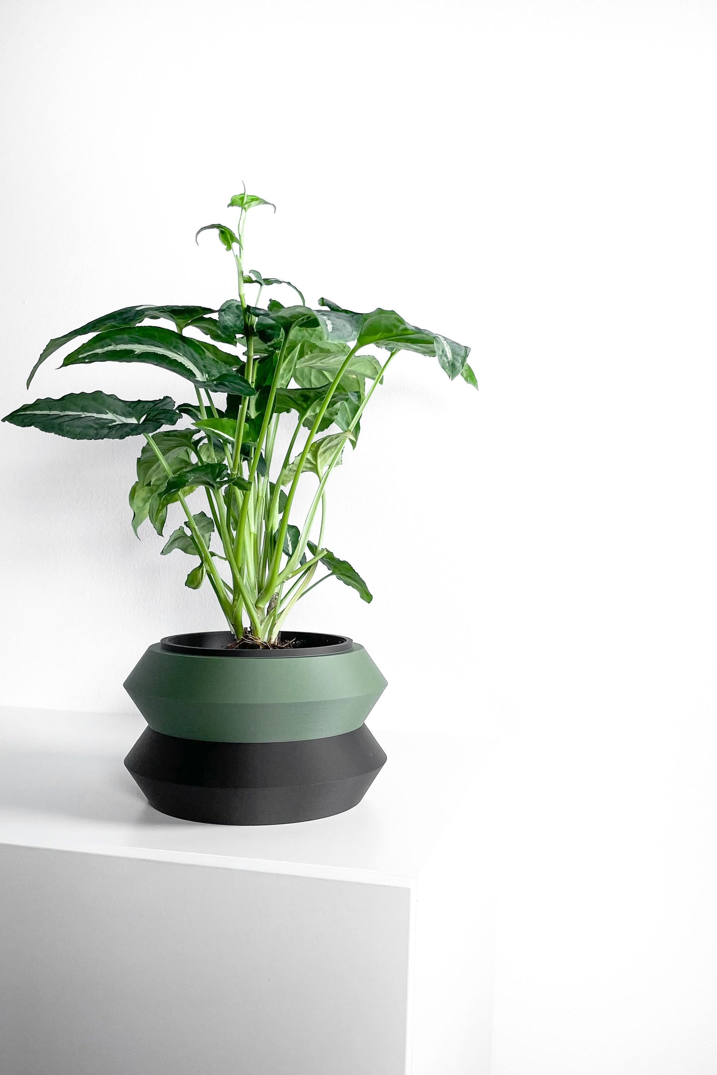 Planter Pot, Architectural Two-Color Matte-Finish, Scandinavian Minimalist Desk Organizer