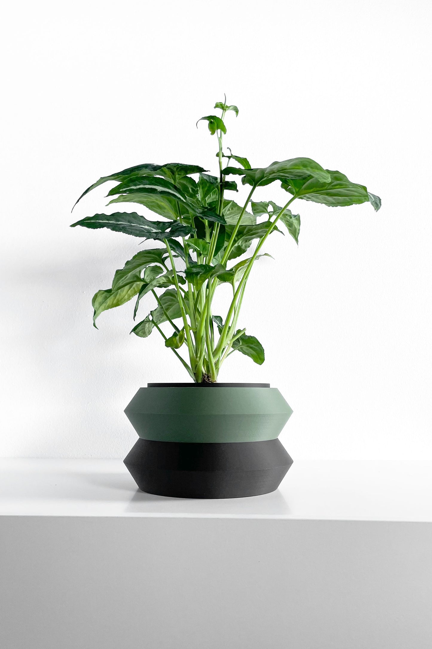 Planter Pot, Architectural Two-Color Matte-Finish, Scandinavian Minimalist Desk Organizer
