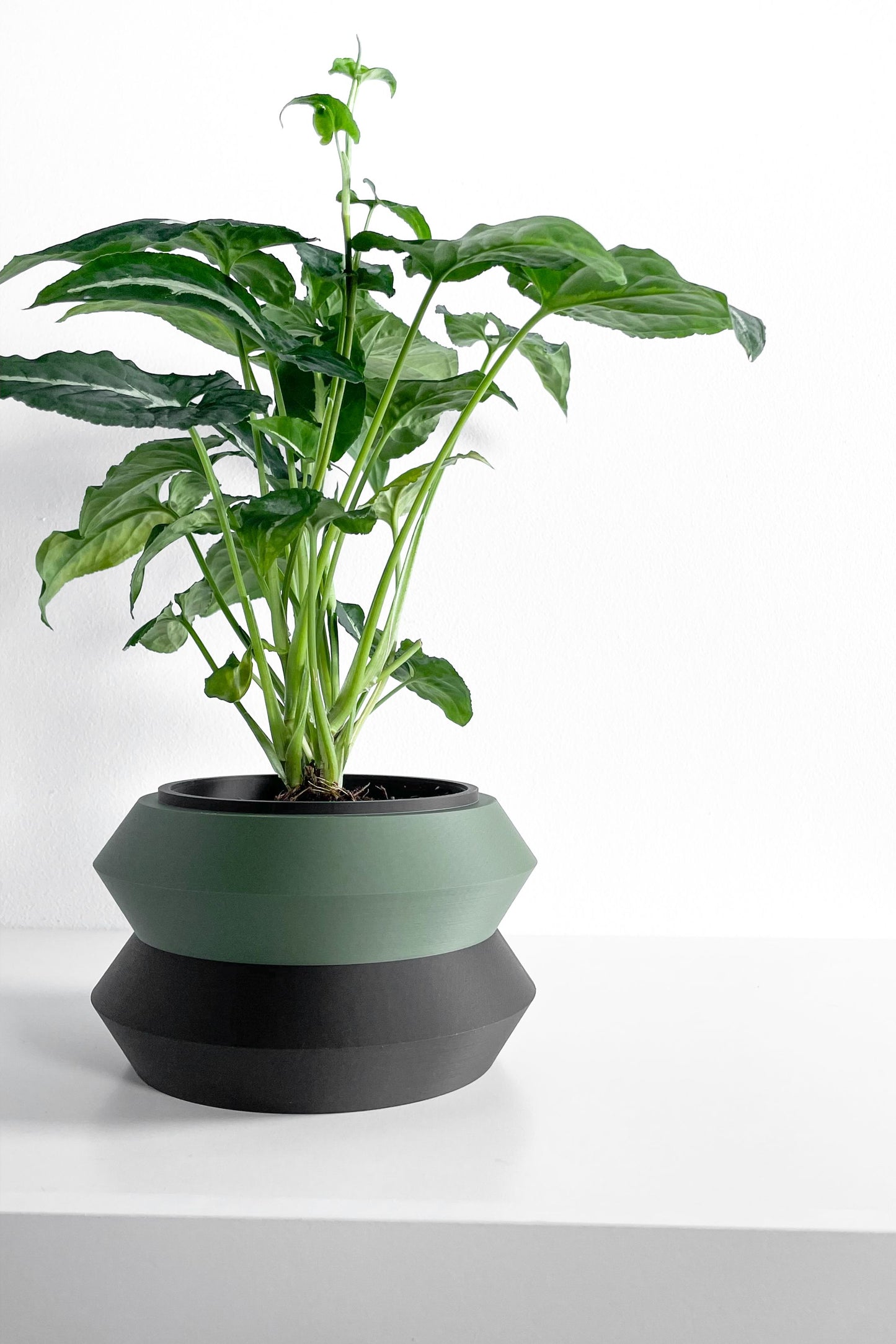Planter Pot, Architectural Two-Color Matte-Finish, Scandinavian Minimalist Desk Organizer