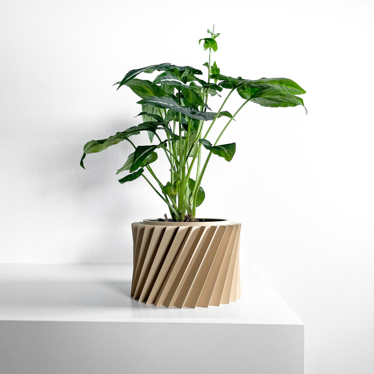 Succulent Planter, Geometric Sculptural Indoor Herb Vessel, Contemporary Workspace Organizer