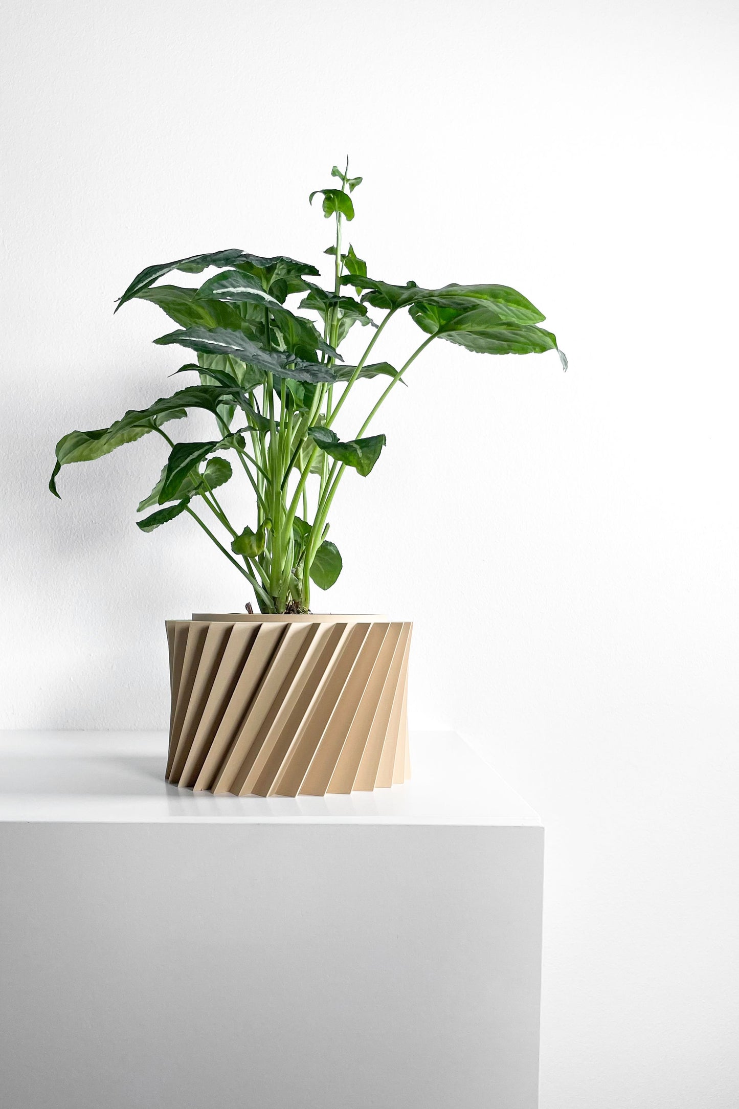 Succulent Planter, Geometric Sculptural Indoor Herb Vessel, Contemporary Workspace Organizer