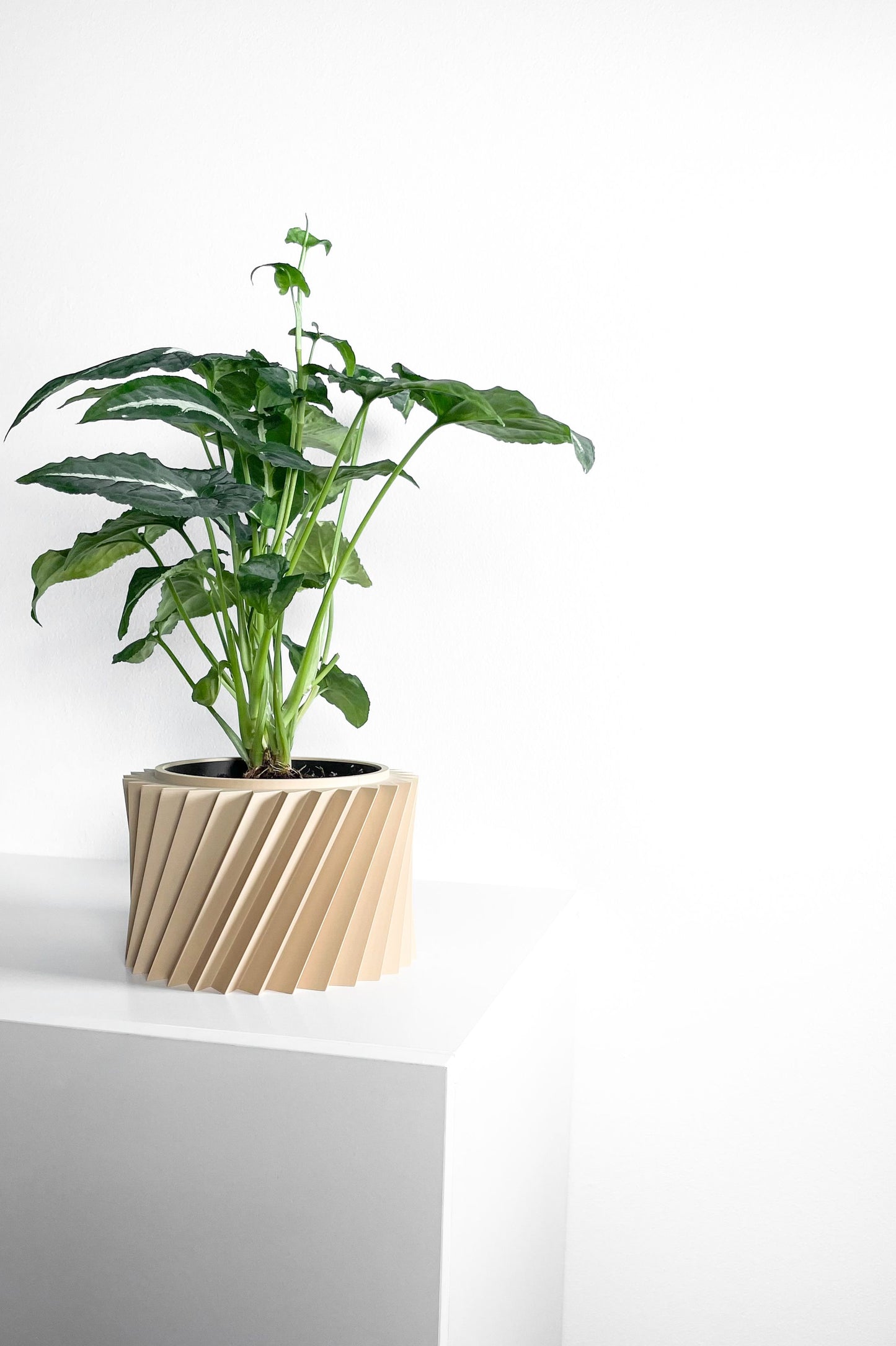 Succulent Planter, Geometric Sculptural Indoor Herb Vessel, Contemporary Workspace Organizer