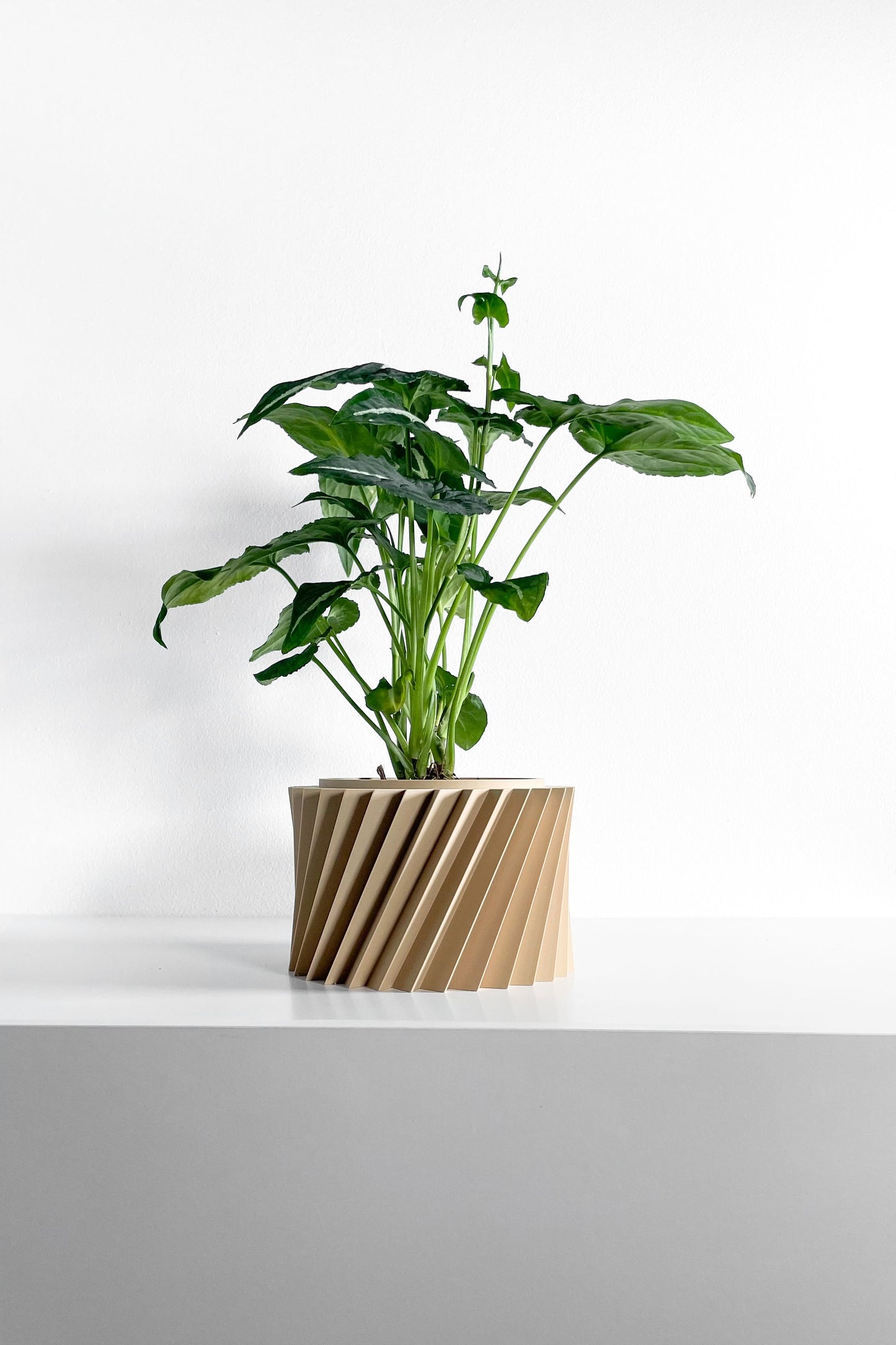 Succulent Planter, Geometric Sculptural Indoor Herb Vessel, Contemporary Workspace Organizer