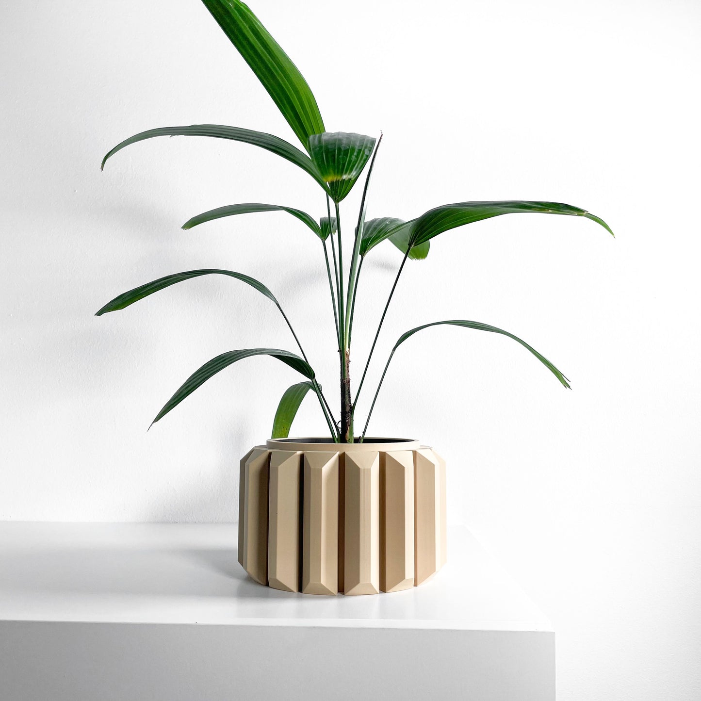 Planter, Sculptural Geometric DesktopVessel, Herb-Organizer, Beige Modern Large Tabletop