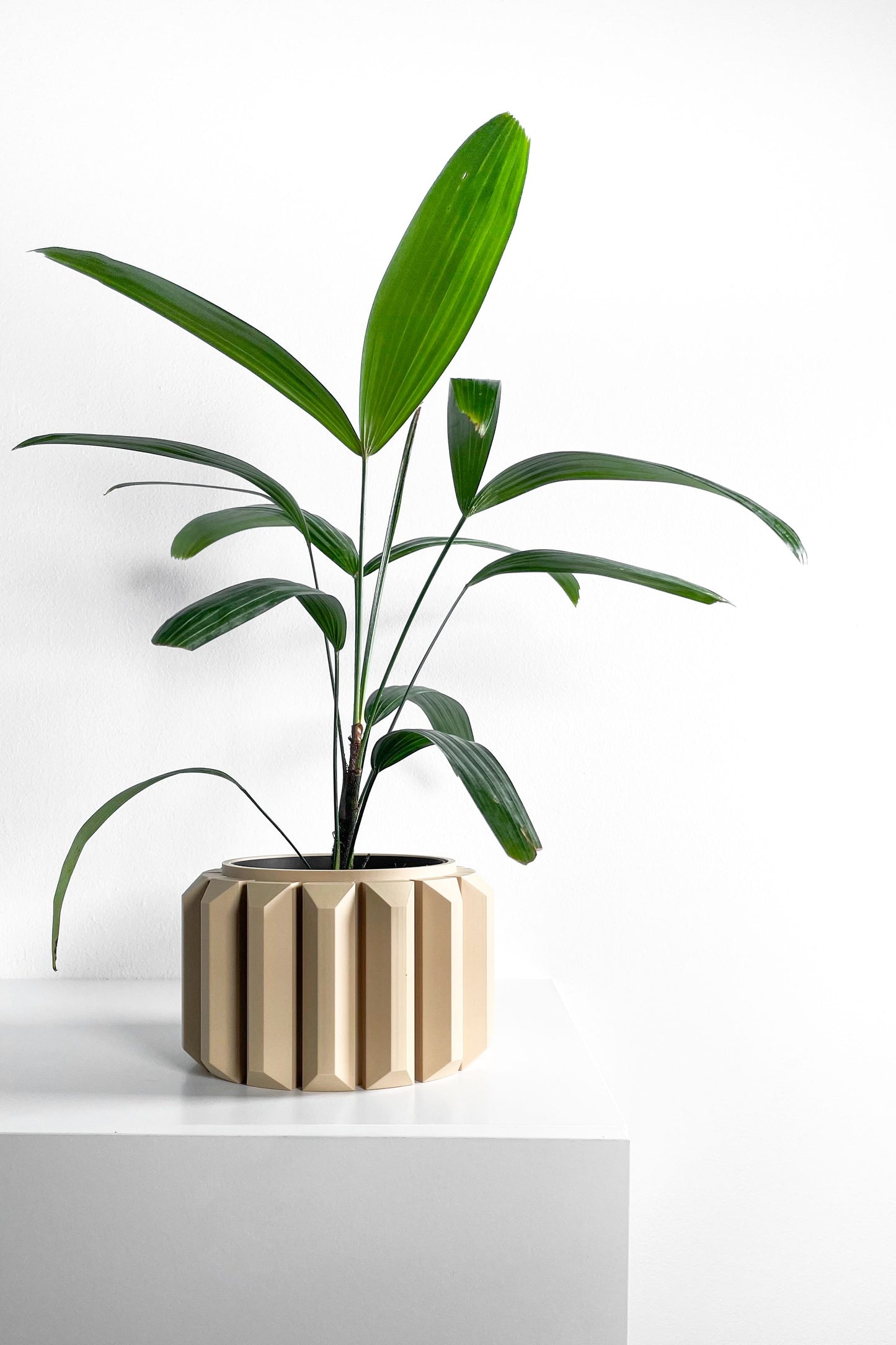 Planter, Sculptural Geometric DesktopVessel, Herb-Organizer, Beige Modern Large Tabletop