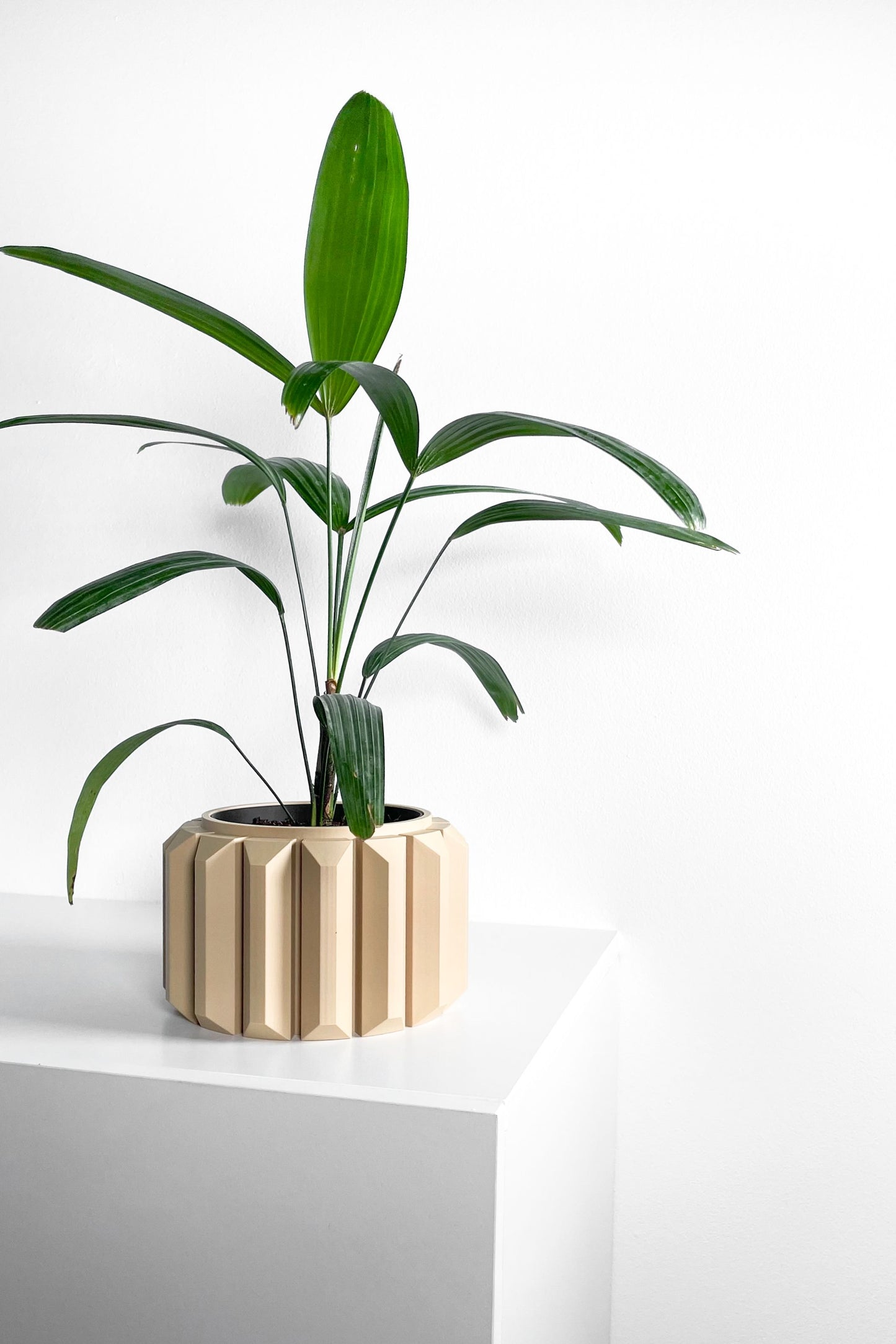 Planter, Sculptural Geometric DesktopVessel, Herb-Organizer, Beige Modern Large Tabletop