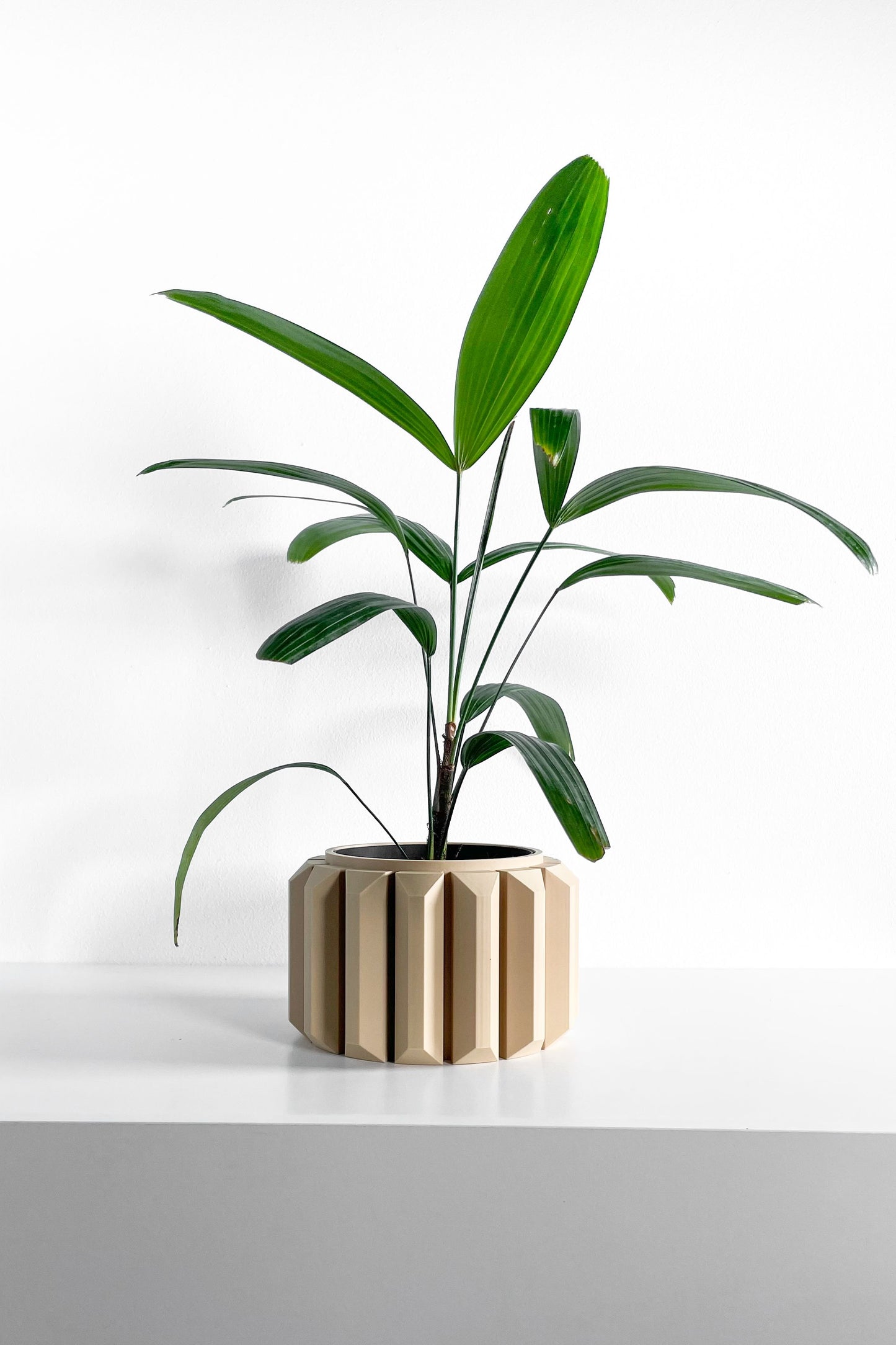 Planter, Sculptural Geometric DesktopVessel, Herb-Organizer, Beige Modern Large Tabletop