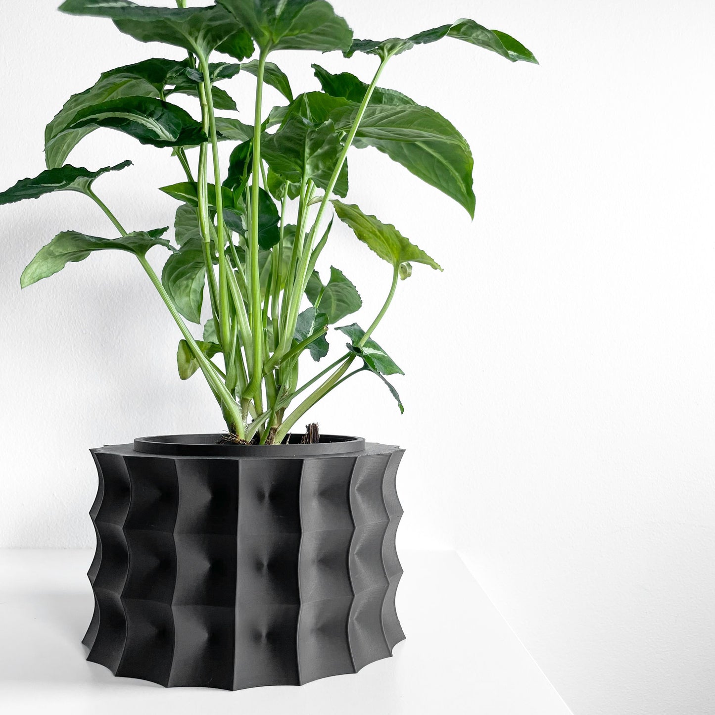 Planter Pot, Sculptural Desktop Herb Organizer, Modern Workspace Greenery Accent