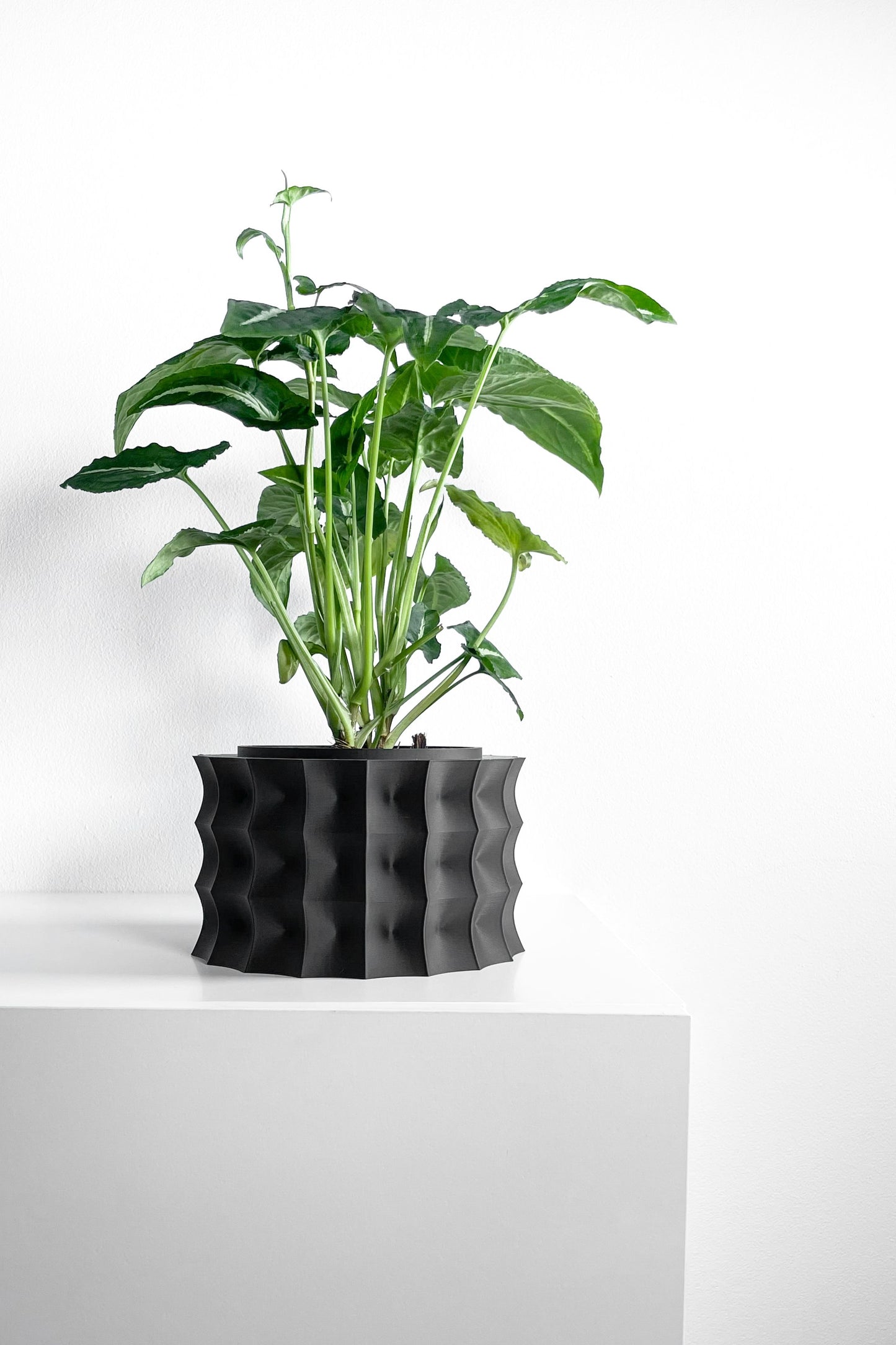 Planter Pot, Sculptural Desktop Herb Organizer, Modern Workspace Greenery Accent