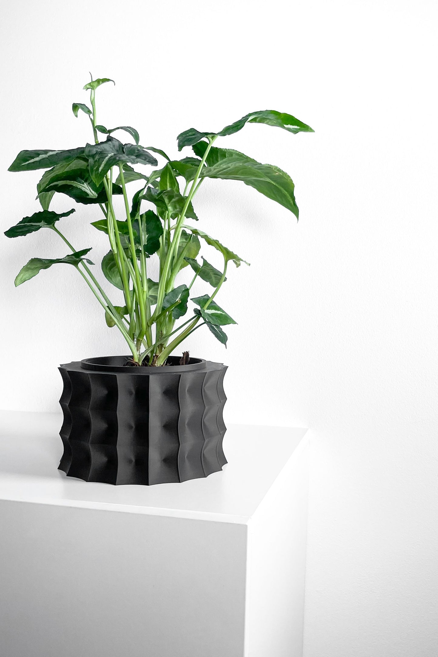 Planter Pot, Sculptural Desktop Herb Organizer, Modern Workspace Greenery Accent